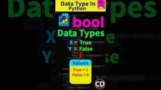 What Is Bool Data Type? - Python Short Series Ep. 9 #python #datastructures #bool #programming