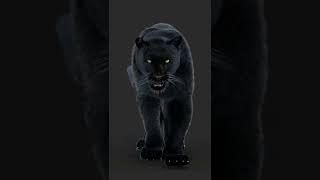 Roaring Black Panther Animal 3D Model | @PROmax3D