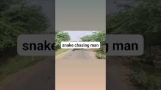 snake chasing man