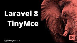 Laravel 8 TinyMce Editor