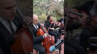 Los Angeles Wedding Music - Your Song - Jason Sulkin Music - String Trio