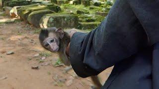 Breaking news! Two men have released two new monkeys, new abandoned baby are so small