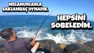 BÜTÜN KANCALARI BALIKLARIN GIRTLAĞINDAN ÇIKARTTIM. #fish #fishing #fisherman #çevlikoltacısı