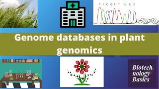 Genome databases in Plant genomics