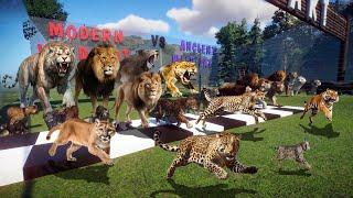 Big Cats VS Ancient Big Cats NEW Animals Race in Planet Zoo included Lion, Smilodon, Cheetah & Tiger