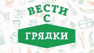 Смотрите на телеканале «Брянская Губерния» и "Брянск 24" новый проект «Вести с грядки»