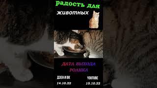 ПРИВЕЗЛИ РАДОСТЬ ЖИВОТНЫМ  #shorts #доброедело