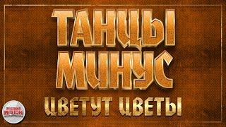 ТАНЦЫ МИНУС  ЦВЕТУТ ЦВЕТЫ  ХИТЫ РУССКОГО РОКА