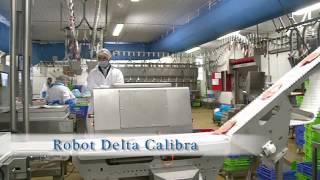 Cube Food - Duck Into Tray Robot