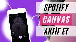 Spotify Canvas Nasıl Açılır ? 2024