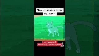 Что не так с этим котом? #кот #веселье #рикиморти