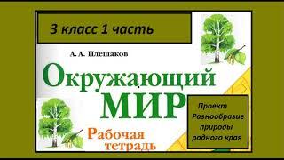 Проект Разнообразие природы родного края Окружающий мир 3 класс