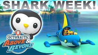 Octonauts: Above & Beyond -  Shark Fever | SHARK WEEK  Compilation | @Octonauts​