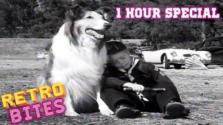 Kite Flying | Lassie | 1 Hour Special | Full Episodes | Retro Bites