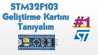 STM32F103- Blue Pill Geliştirme Kartını Tanıyalım #1