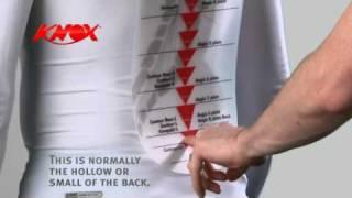 Knox 'how to measure for a back protector' Video