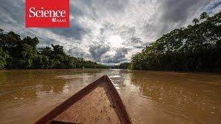 Making contact: The isolated tribes of the Amazon rainforest