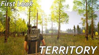 Territory First Look | This could be interesting