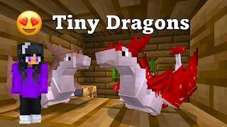 Dragons! Biomes: Teeny Tiny MUSHROOM DRAGONS