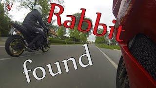 Chasing the rabbit - 2015 Vrijbostreffen