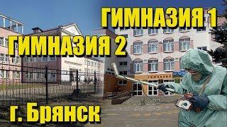 Гимназия 1 и Гимназия 2 г. Брянск. Есть ли радиация?