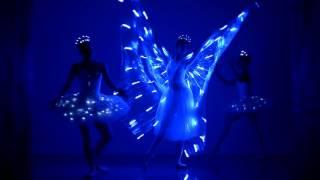 LED Show Featuring A Ballet Dance By Beautiful LED Butterfly Ballerinas