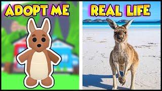 ADOPT ME AUSSIE PETS VS REAL LIFE!! Prezley