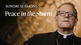 Peace in the Storm - Bishop Barron's Sunday Sermon