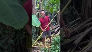 Mau ketawa takut dosa video lucu bikin ngakak hiburan warga+62 viral video funny videos funny shorts