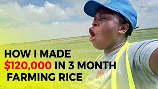 Fly High With Profits! Lucrative Rice Farming and Bird Scaring Techniques