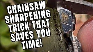 Chainsaw Sharpening trick saves you time, and money 