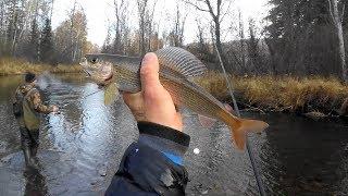 Ловля - РЫБАЛКА на ХАРИУСА осень 2018 (ТАЙГА ХАКАСИЯ ,ХАРИУС р.ЮЗИК)