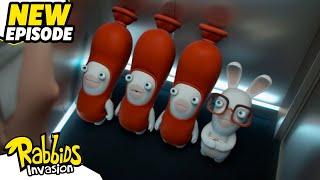 Rabbid elit (S04E06) | RABBIDS INVASION | New episodes | Cartoon for Kids