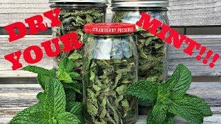 How To Dry Mint - Dehydrator NOT Needed!!