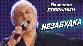 Вячеслав Добрынин - Незабудка