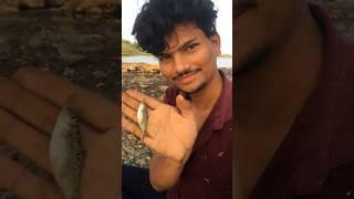 BIG FISH HUNTING ON RIVER.IN TELUGU.(Fish hunting)#subscribe #fish#blogger#fishing#poison#life