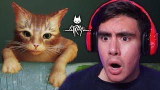 I NEVER THOUGHT I'D SEE THE DAY WHERE I BECAME A LOVER OF CATS..UNTIL NOW | Stray [1]