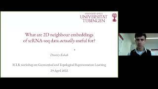 What are 2D neighbour embeddings of scRNA-seq data actually useful for? (Dmitry Kobak)