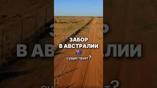 Забор в Австралии существует? #австралия #заборвавстралии #жизньзаграницей #влог #подпишись