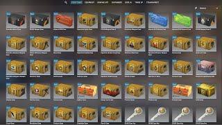 I OPENED EVERY CASE IN CS2 ($500)