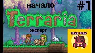 начало ▶ террария| terraria эксперт #1