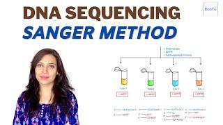 Dideoxy DNA Sequencing - Sanger method