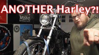 ANOTHER Harley In The Shop?!?!