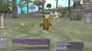 Everquest Project 1999 Game/Installation Step by Step