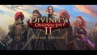 Антискил-капибаринг в Divinity Original Sin 2.