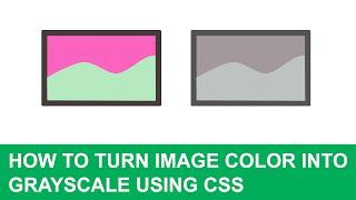 How to Turn Image Color into Grayscale using CSS (EASY)