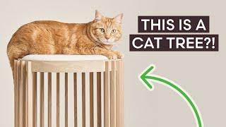 Best Modern Cat Furniture | 5 Incredible Finds