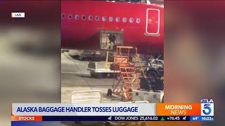 Video Captures Worker Throwing Luggage From Plane at LAX