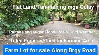 #Vlog243 FARM LOT FOR SALE TITLED | GOOD FOR FARMING AREA | FLOOD FREE & COLD WEATHER #kafarmlandtv