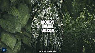 Moody Dark Green Preset - Lightroom Mobile Presets | Dark Preset | Moody Filter | Dark Green